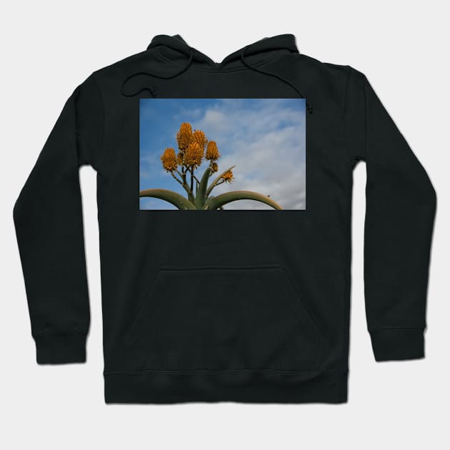 Orange Cactus Hoodie by randymir